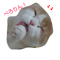 [LINEスタンプ] スコにゃんスタンプ2