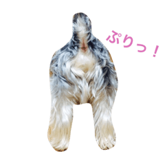 [LINEスタンプ] いつも、一緒