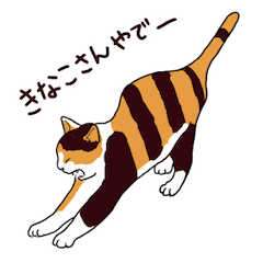 [LINEスタンプ] 三毛猫きなこさん