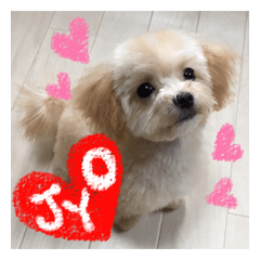 [LINEスタンプ] 犬のじょーたろー