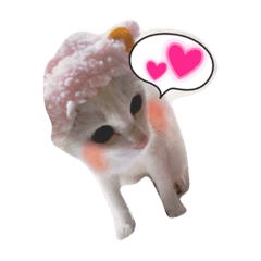[LINEスタンプ] 長崎のねこ