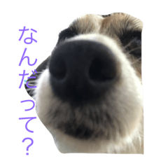 [LINEスタンプ] 悩めるエル子たん