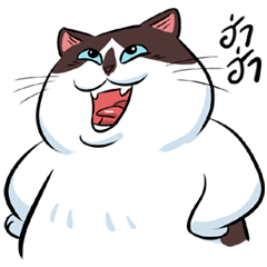 [LINEスタンプ] KaowSan Fatcat