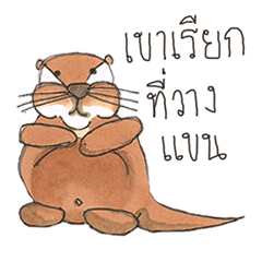 [LINEスタンプ] The naughty otters speak Thai