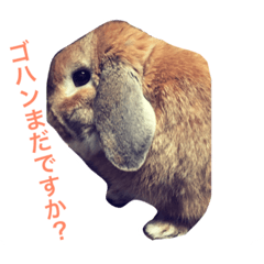 [LINEスタンプ] ノエたんだもの