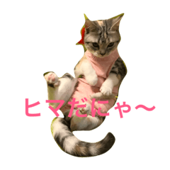 [LINEスタンプ] プリシラ   part1
