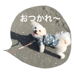 [LINEスタンプ] ゆきち①