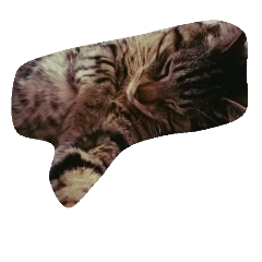 [LINEスタンプ] ほんわかにゃんちゅう