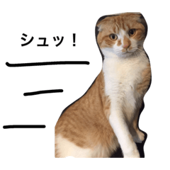 [LINEスタンプ] 猫のチェス