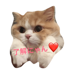 [LINEスタンプ] むぎたんスタンプ！