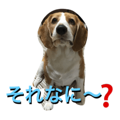 [LINEスタンプ] のんほい てっちゃん 