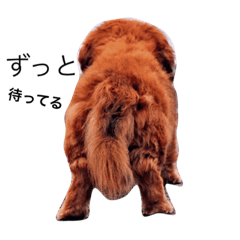 [LINEスタンプ] メタボ犬