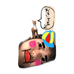 [LINEスタンプ] 岩井です1
