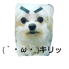 [LINEスタンプ] 佐々木家の姫2