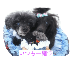 [LINEスタンプ] カーリービーポッシュの画像（メイン）