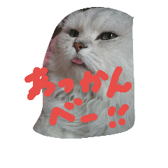 [LINEスタンプ] かわいいぺっと