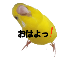 [LINEスタンプ] やんきゅうちゃんの1日②