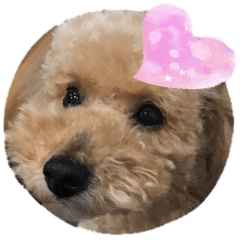 [LINEスタンプ] マカロンと風太