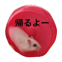 [LINEスタンプ] みるきぃ