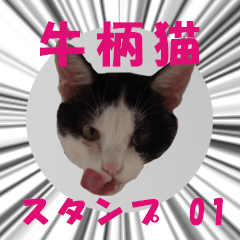 [LINEスタンプ] 牛柄猫スタンプ01