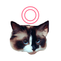 [LINEスタンプ] のんのんのんちゃん◎