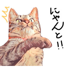 [LINEスタンプ] モカとアメ
