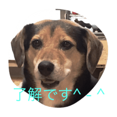 [LINEスタンプ] うふふ・・・