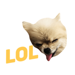 [LINEスタンプ] 愛らしい犬たち