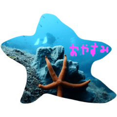 [LINEスタンプ] ダイビング 魚 ダイバー