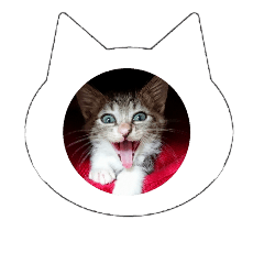 [LINEスタンプ] 猫のあくび