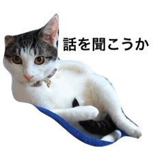 [LINEスタンプ] 美子(みこ)スタンプ