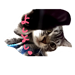 [LINEスタンプ] りんとふー