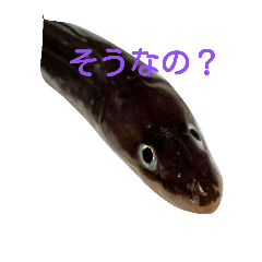 [LINEスタンプ] さかなづくし