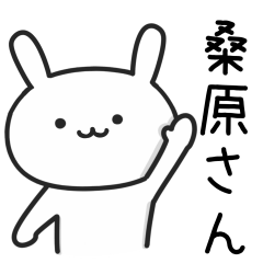 [LINEスタンプ] 桑原(くわばら)さんが使うウサギ