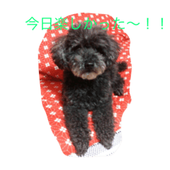 [LINEスタンプ] ゆうかのワンコ