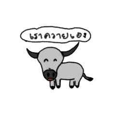 [LINEスタンプ] a picture attracts