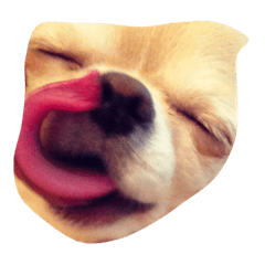[LINEスタンプ] もぐみです 3