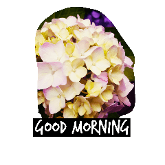 [LINEスタンプ] pictures of flower