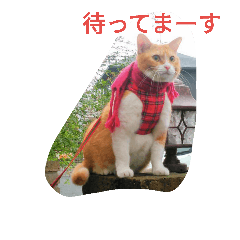 [LINEスタンプ] 真理ちゃん