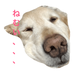 [LINEスタンプ] くぅ