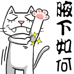 [LINEスタンプ] ian cat of white
