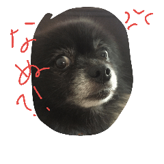 [LINEスタンプ] くろまめたろう
