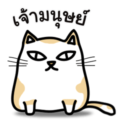 [LINEスタンプ] Sommeaw