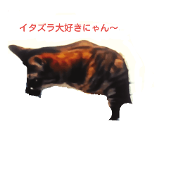 [LINEスタンプ] にゃん～ダフる