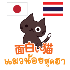 [LINEスタンプ] 面白い猫日本語タイ語