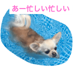 [LINEスタンプ] モモララ その3