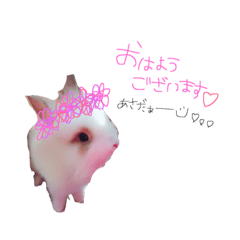 うさぎのジェラたん 。