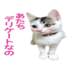 [LINEスタンプ] つぶとじゅに