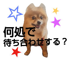 [LINEスタンプ] ポメラニアンDuffy黒と赤 その8