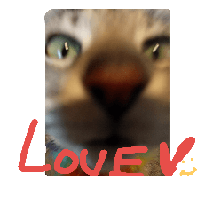 [LINEスタンプ] ハタねこスタンプ2